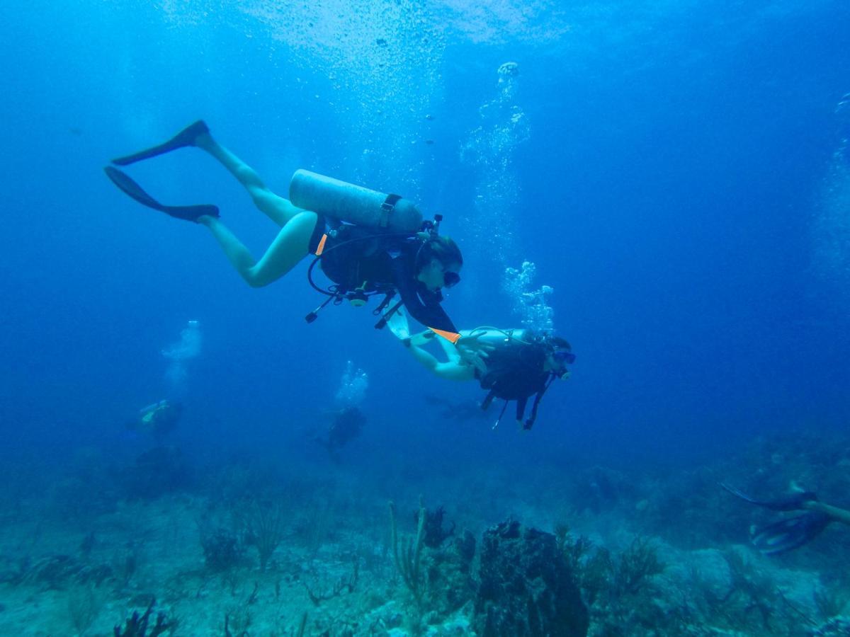Willa Casa Paamul Playa del Carmen Zewnętrze zdjęcie