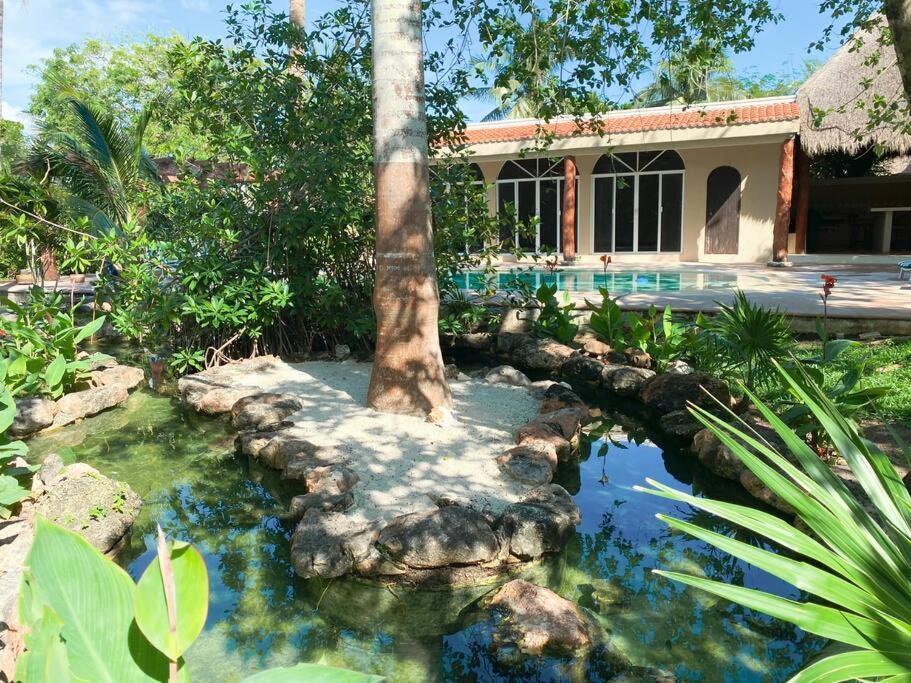 Willa Casa Paamul Playa del Carmen Zewnętrze zdjęcie